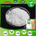 98% for animal health Feed Additive glycine betaine